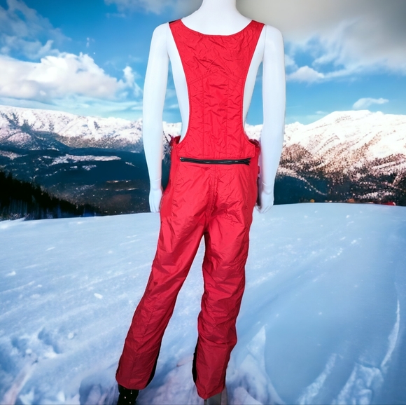 The North Face Pants & Jumpsuits The North Face Extreme Snow Pants